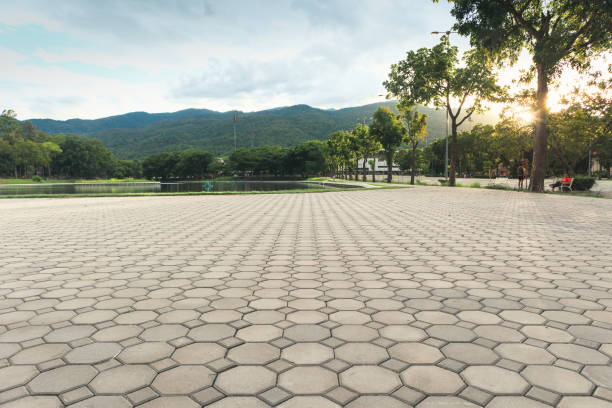 Best Residential Paver Driveway  in Brevard, NC